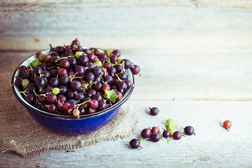 currant with gooseberries