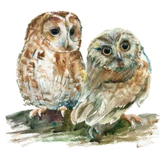 Acrylic prints Owl Cartoons Watercolor owls