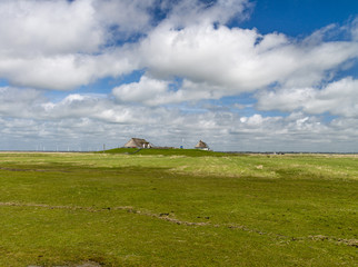 Hamburger Hallig