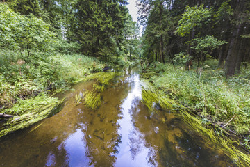 River Black Hancza. Suwalsczyzna. Poland