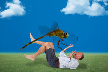 Man being attacked by a dragon fly