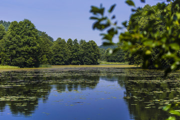 River Black Hancza in Turtul. Poland