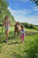 Obraz premium chercher le poney dans la pâture