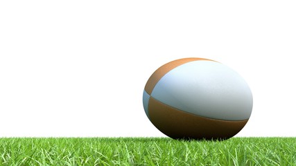 ballon rugby (orange) pelouse