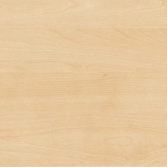 Fototapeta premium Wood texture background