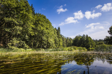 Kayaking on the Black Hancza river, Poland
