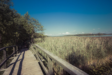 Lake Wigry. Wigry National Park. Suwalki. Poland