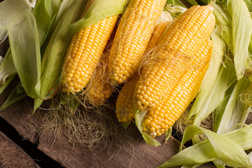 Corn with leaves close-up.