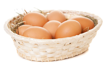 Fresh organic eggs