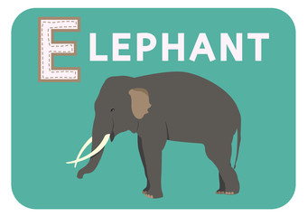 E for elephant alphabet cartoon animal for children