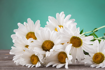 Obraz premium Leucanthemum vulgare on a wooden table