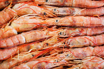 Fresh raw  langoustines