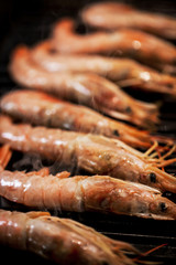 Delicious langoustines  on grill