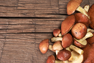 Background with boletus.
