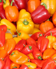 A Display of Brightly Coloured Fresh Chilli Peppers.