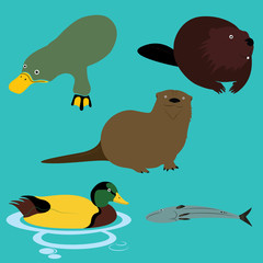 Lake River and Wild Life Animals