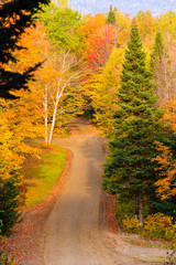 Rural dirt road on an autumn day.