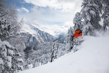 Ski Freeriding in Austria - obrazy, fototapety, plakaty