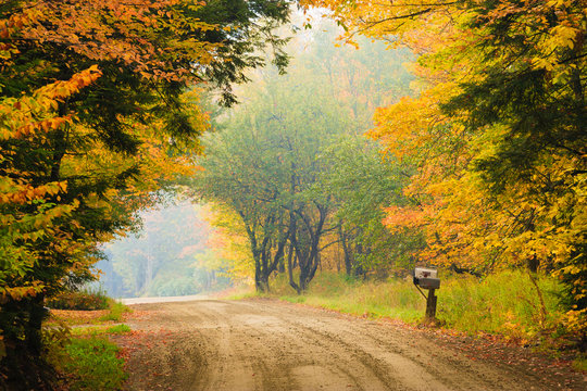 Rural dirt road and mailbox on a foggy morning.