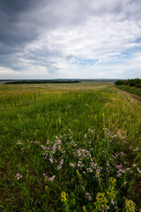 The road stretches into the distance on the background of summer meadows of trees and blue sky with clouds