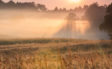 Misty morning landscape of Pomerania, Poland