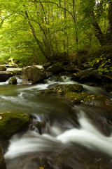 time lapse of cascade of water through autumn forest.