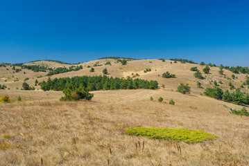 Fototapeta premium Beautiful autumnal landscape on Ai-Petri mountain tableland in Crimean peninsula