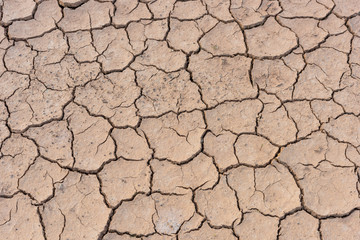 Crack soil on dry season