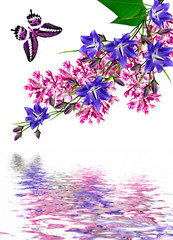 Plakat lilac flowers