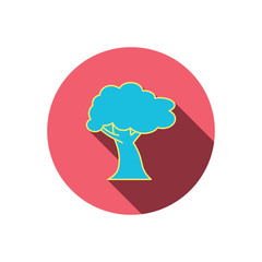 Oak tree icon. Forest wood sign.