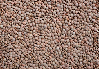 Brown lentils background