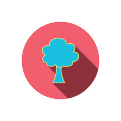 Tree icon. Forest wood sign.