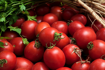 Red juicy tomatoes with green parsley