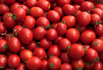 Red juicy tomatoes