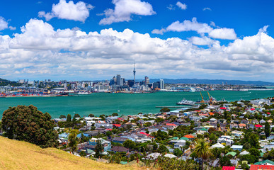 Auckland city downtown from the Borough of Devonport peak - obrazy, fototapety, plakaty