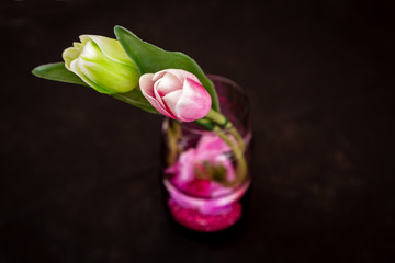 Flowers in a pink glass - tulip