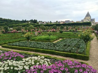 Fototapeta na wymiar I giardini del castello di Villandry - Loira, Francia