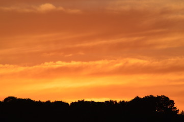 Fototapeta premium coucher de soleil