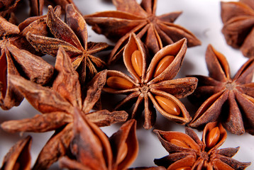 Anise star 3