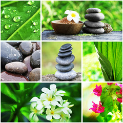 Collage with spa compositions