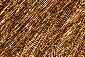 Wheat straw as a texture