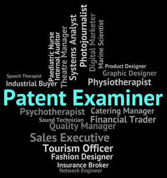 Patent Examiner Means Performing Right And Analyst