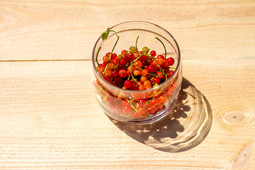 Red currants in a glass jar shadow left
