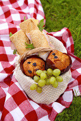 Picnic basket