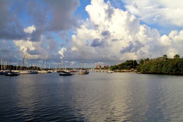 Coconut Grove Marina