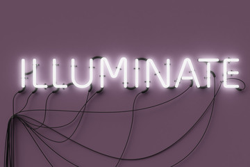 3 D render of neon sign written "Illuminate" turned on.