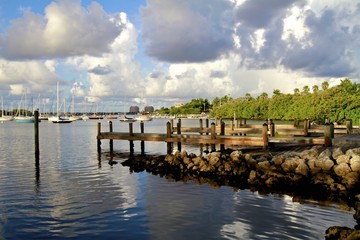 Coconut grove Marina