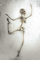 Fototapeta premium Dancing Skeleton