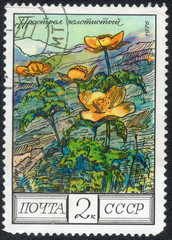 USSR - CIRCA 1976