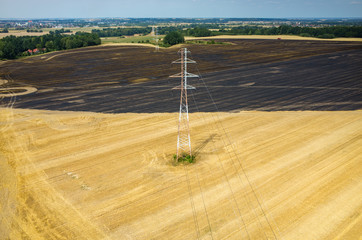 Powerlines on wheat field